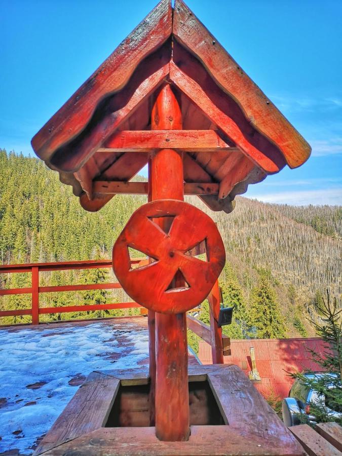 Cabana "Trei Brazi " Retezat Rîu de Mori エクステリア 写真