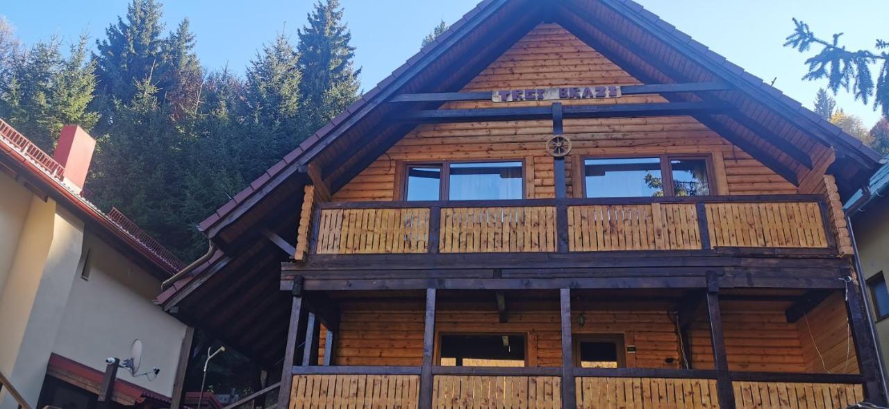 Cabana "Trei Brazi " Retezat Rîu de Mori エクステリア 写真