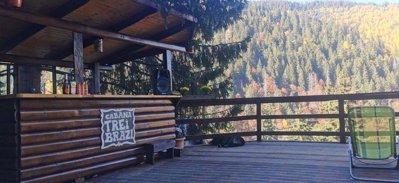 Cabana "Trei Brazi " Retezat Rîu de Mori エクステリア 写真