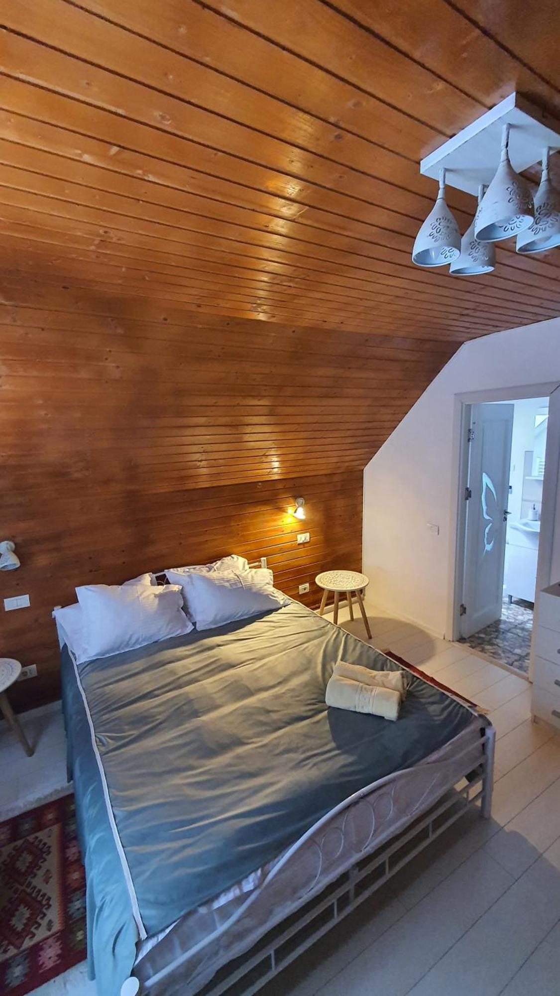 Cabana "Trei Brazi " Retezat Rîu de Mori エクステリア 写真