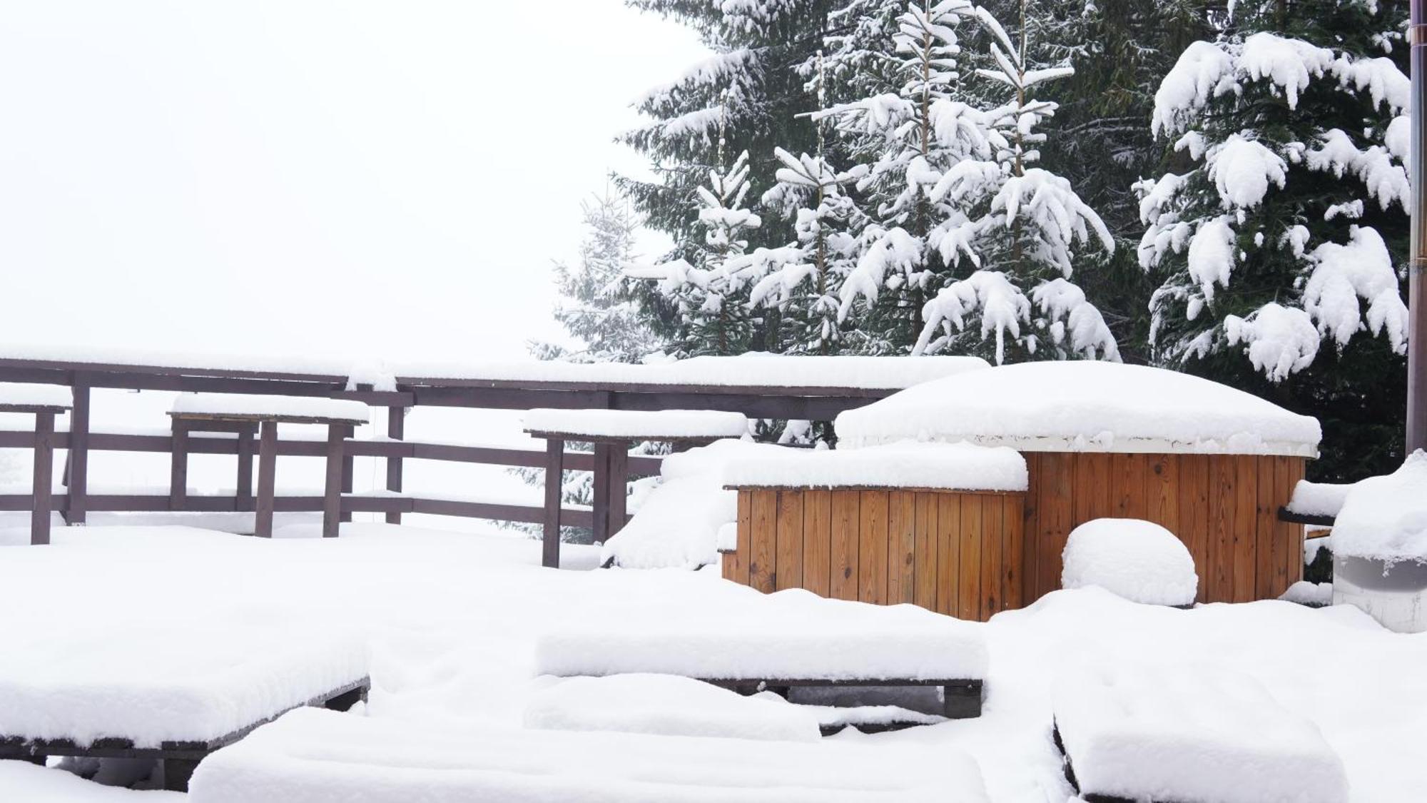 Cabana "Trei Brazi " Retezat Rîu de Mori エクステリア 写真
