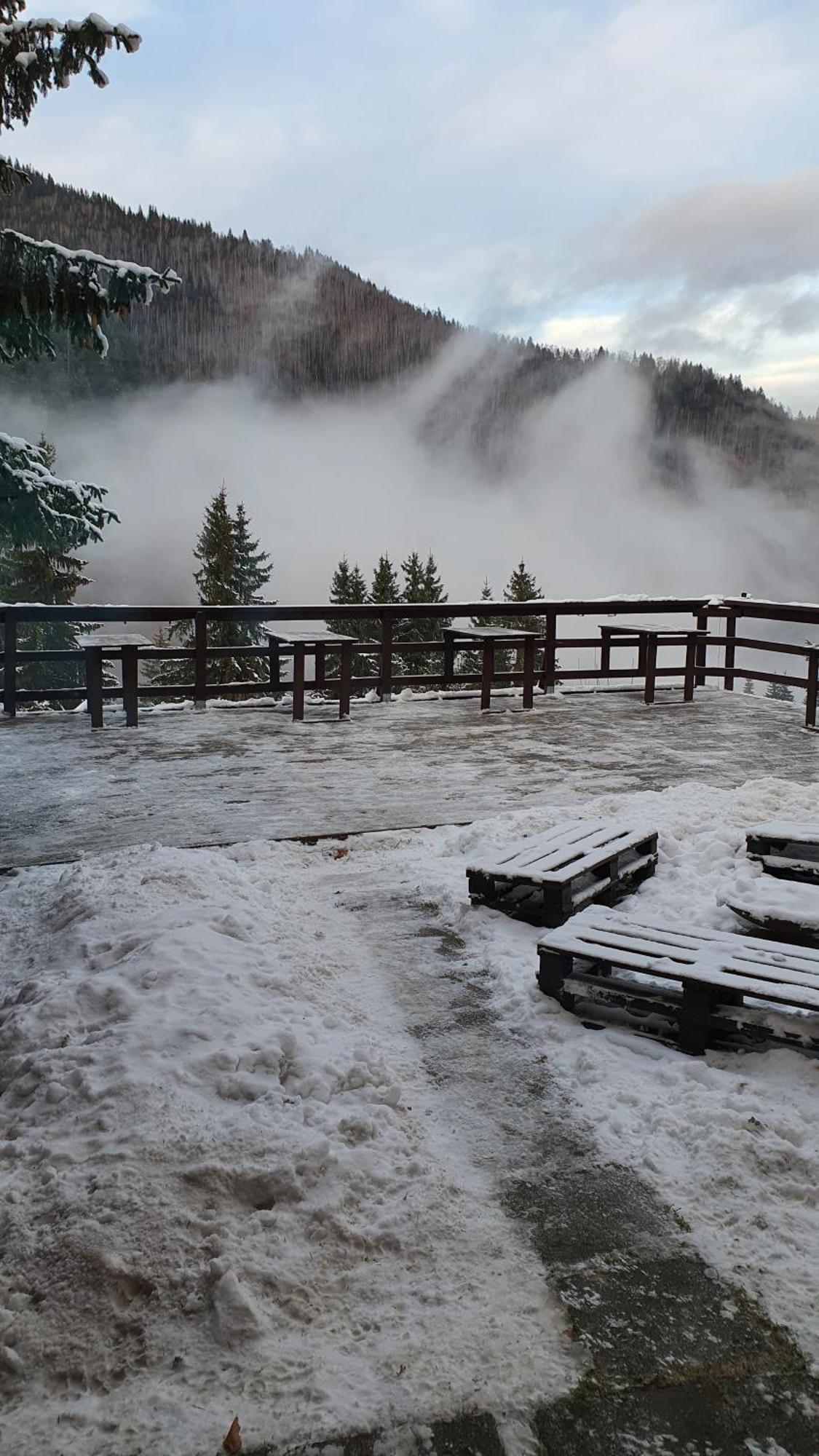 Cabana "Trei Brazi " Retezat Rîu de Mori エクステリア 写真