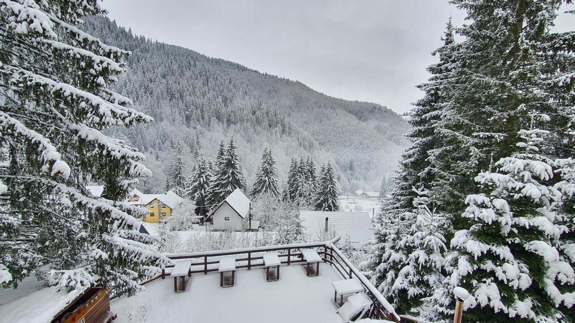 Cabana "Trei Brazi " Retezat Rîu de Mori エクステリア 写真