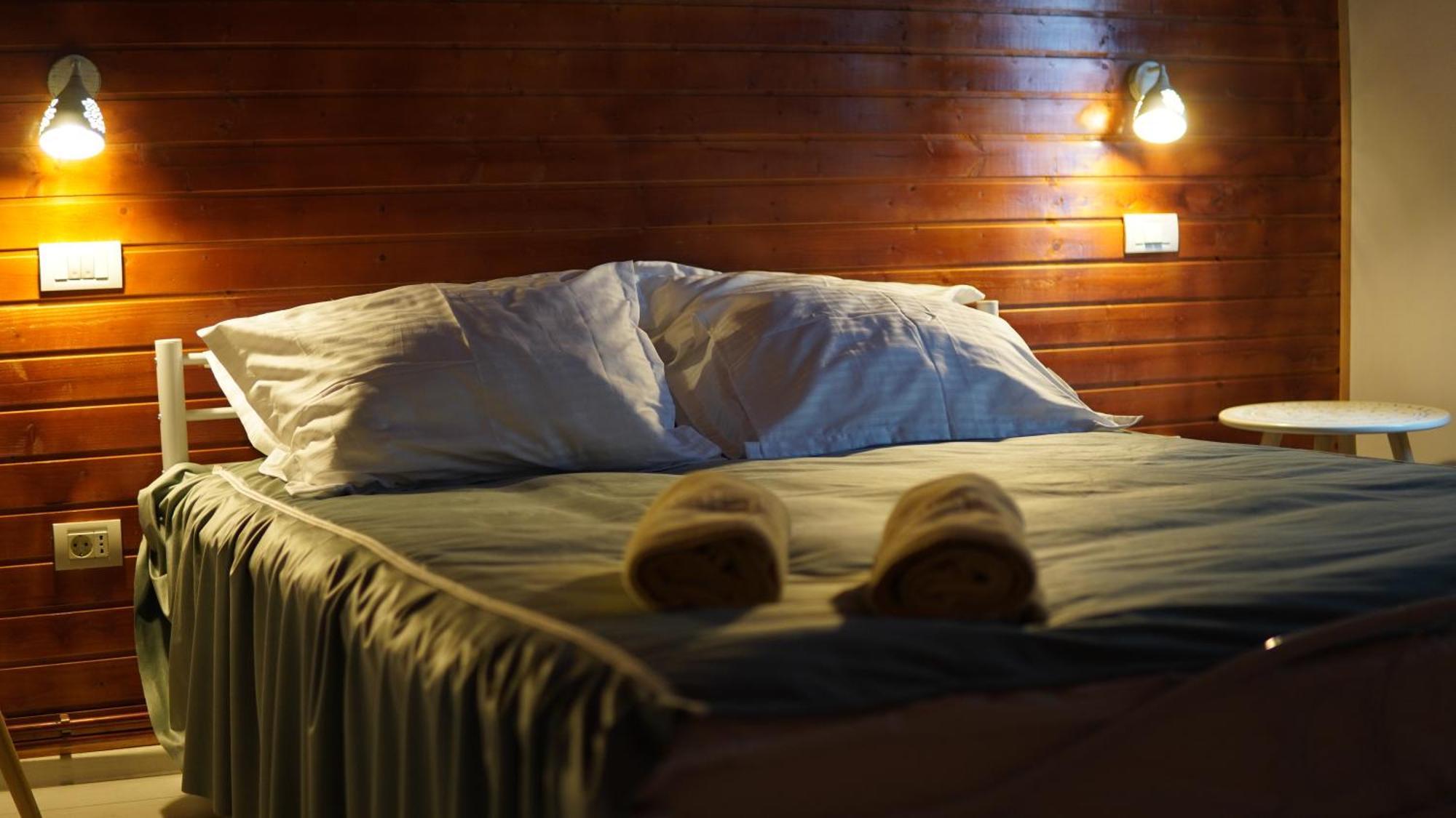 Cabana "Trei Brazi " Retezat Rîu de Mori エクステリア 写真